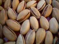 aegina greece - pistachio