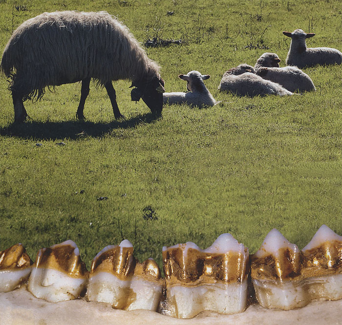 http://www.greek-islands.us/crete/the-sheep-with-the-golden-teeth/the-mystery-of-crete-1.jpg