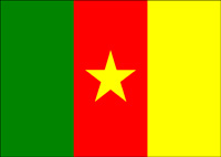 cameroon flag