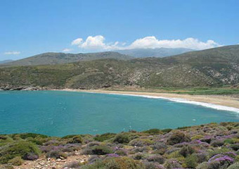 andros beaches - ateni beach