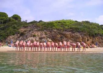 skiathos island - banana beach