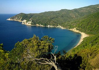 skiathos island - kechria beach