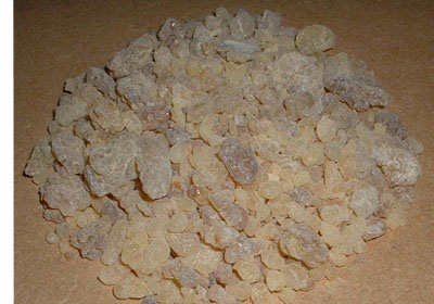 mastic gum - frankincense