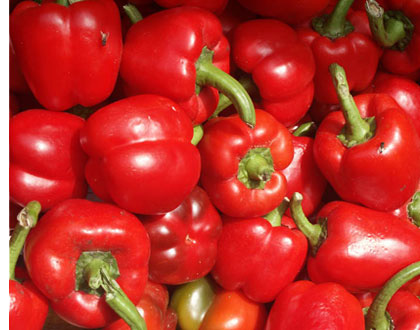 plomari ouzo - red peppers