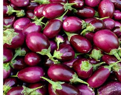 plomari ouzo - eggplant