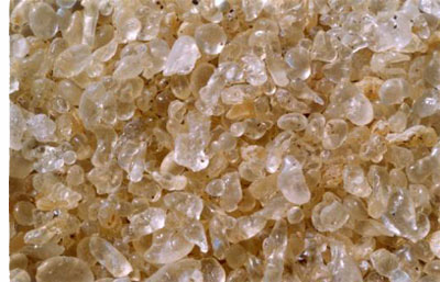 mastic gum products - mastiha