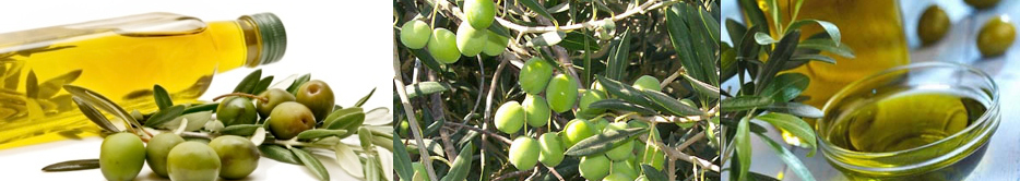 greek olives - olive oil