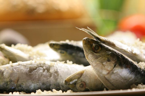 greek recipes - salted sardines