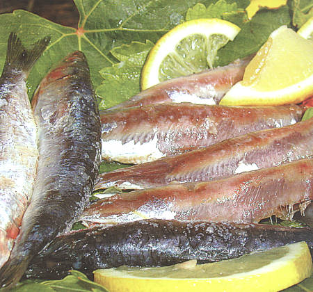 greek recipes - salted sardines