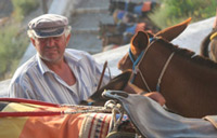 fira santorini - donkeys taxi