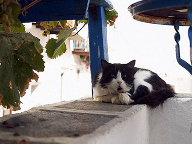 sifnos island - artemonas village