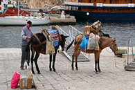 hydra greece - taxis