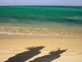 ikaria greece - prioni beach