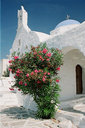 paros church