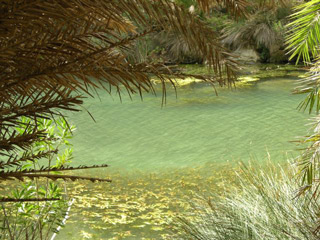 crete - prasano gorge