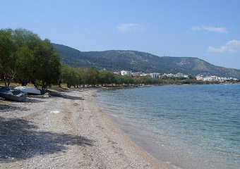 salamina - salamina beach