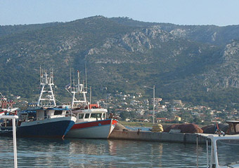 salamina port