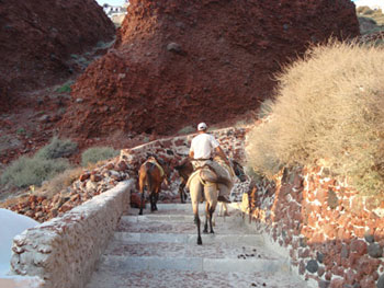 santorini hiking - amoudi hiking