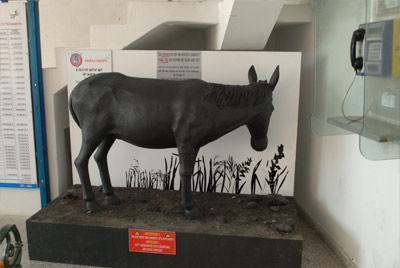 Donkey Republic Exhibition in Santorini