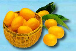 syros island - citrus fruit