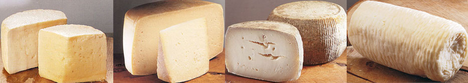greek products - the greek cheese
