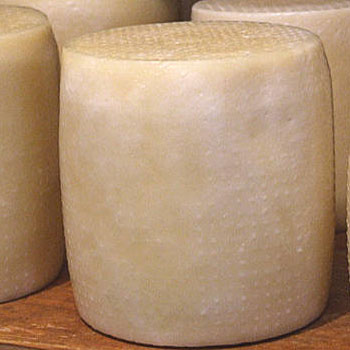 greece - ladotiri cheese