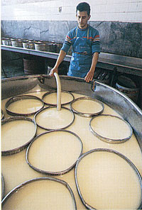 greece - making cheese