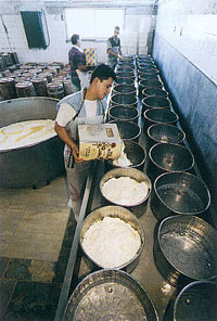 greece - making cheese