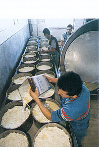 greece - making cheese