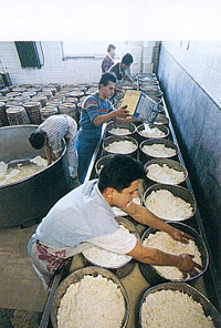 greece - making cheese