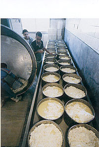 greece - making cheese