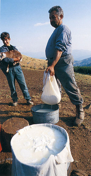 greece - greek cheeses