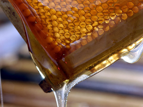 greek products - kithira honey